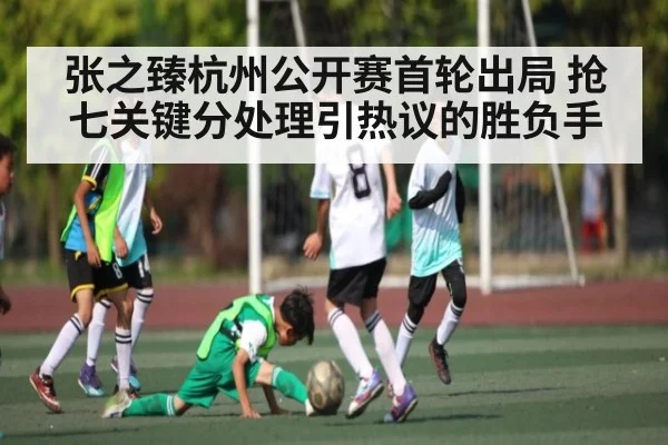 张之臻杭州公开赛首轮出局 抢七关键分处理引热议的胜负手